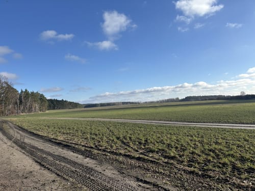 Weite Wiesen und Felder - Rund um Klandorf