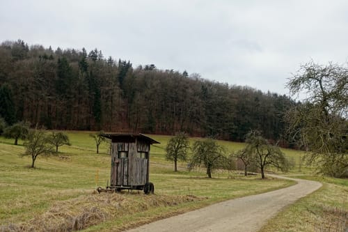 Über die Felder ab Kucha