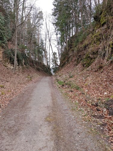 Im Aichwald