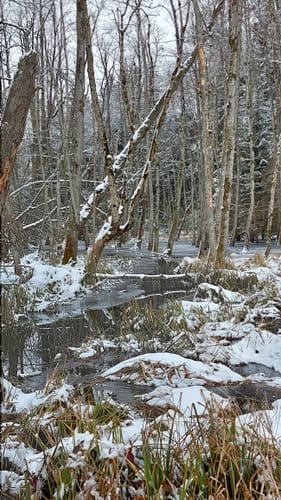 5-Seen-Wanderung um das Rotmoos