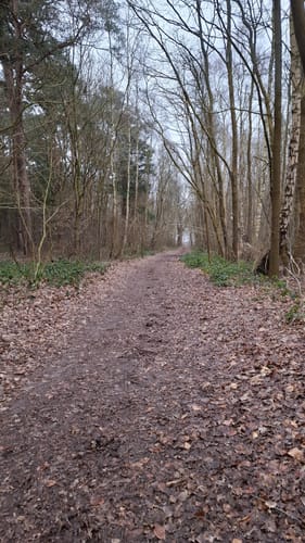 Zum Ahrensee
