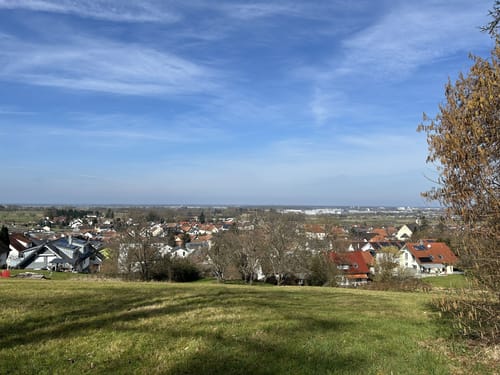 Zunsweiler - Silberköpfe