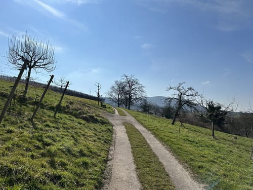 Zunsweiler - Silberköpfe