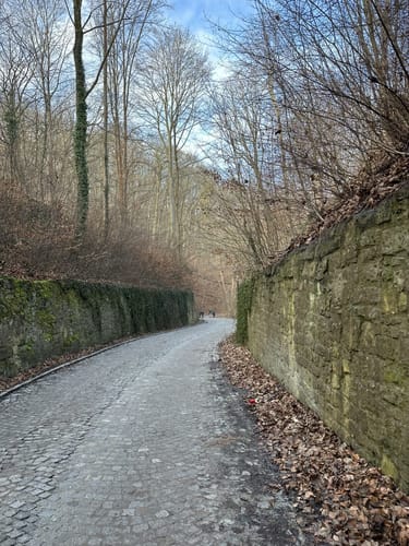 Wanderweg Ernsee-Hammelburg-Stadtwald
