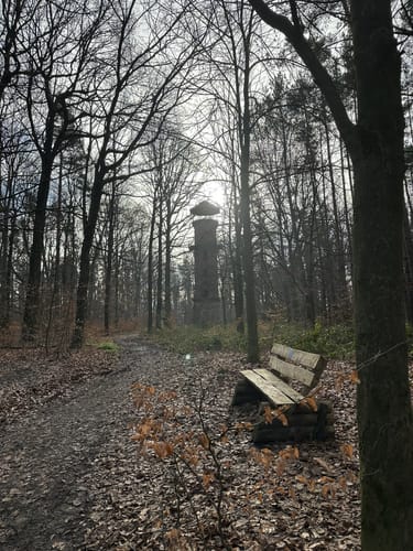 Wanderweg Ernsee-Hammelburg-Stadtwald