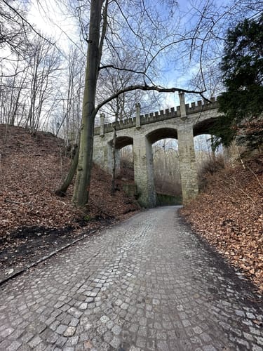 Wanderweg Ernsee-Hammelburg-Stadtwald