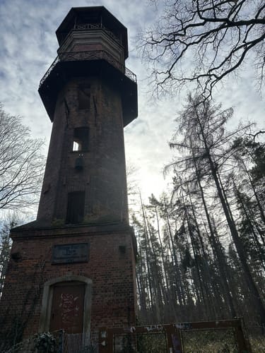 Wanderweg Ernsee-Hammelburg-Stadtwald