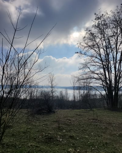 Rund um den Bockwitzer See