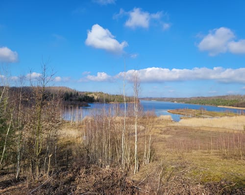 Rund um den Bockwitzer See