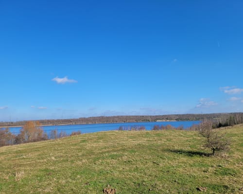 Rund um den Bockwitzer See
