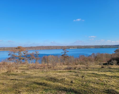 Rund um den Bockwitzer See
