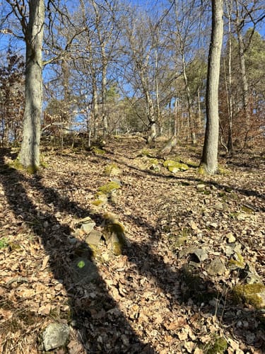 D7 Nimerich-Bergtour