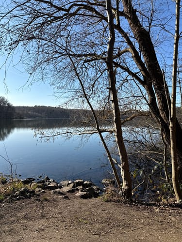 Um den Berggeistweiher
