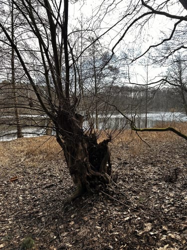 Die Maxsee-Rundtour