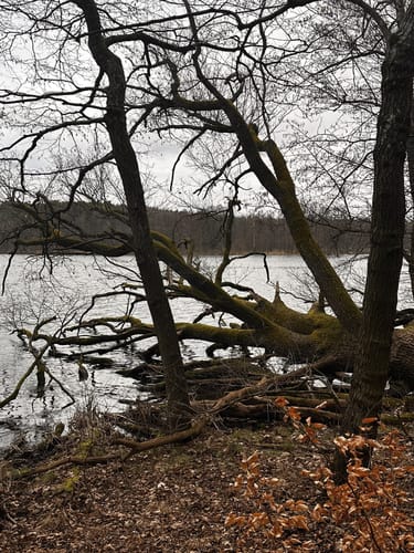 Die Maxsee-Rundtour