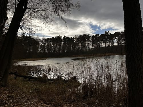 Die Maxsee-Rundtour