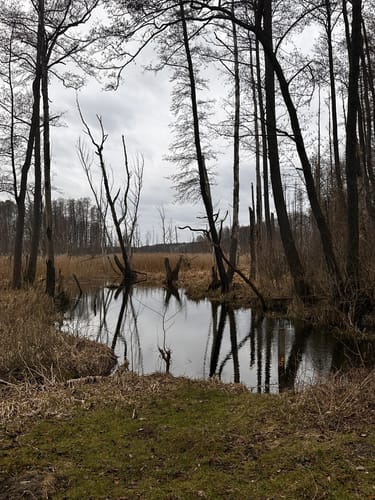 Die Maxsee-Rundtour