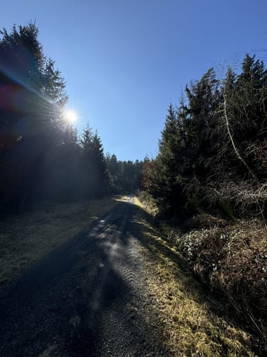 HeimatSpur Mühlenweg Deudesfeld