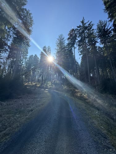 HeimatSpur Mühlenweg Deudesfeld