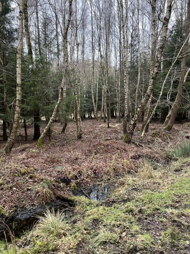 Rundwanderweg Kembs