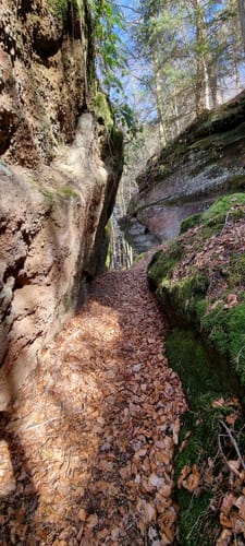 Sickinger Höhenweg bei Waldfischbach