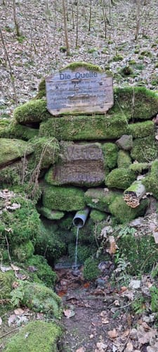 Sickinger Höhenweg bei Waldfischbach