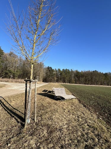 Um den Flugplatz Burg Feuerstein