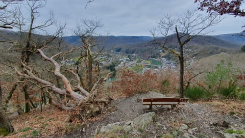 LahnWeinStieg