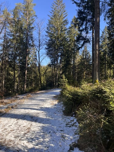 Weißmain-Ochsenkopf-Steig