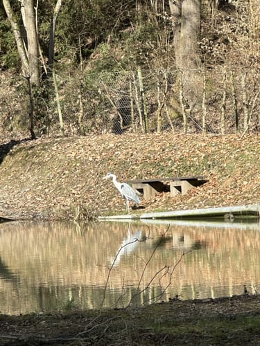 Sulzbach zwischen Bad Soden am Taunus und Altenhain