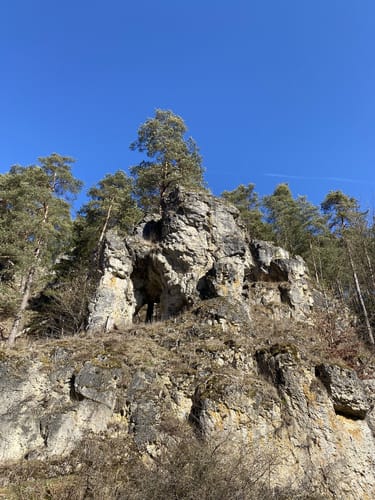 Paradiestal