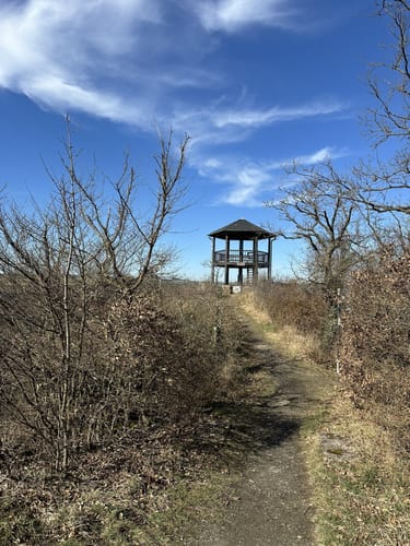 Niederfeller Schweiz (Premiumspazierwanderweg)