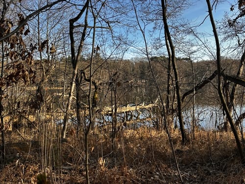 Großer Zeschsee Rundwanderung