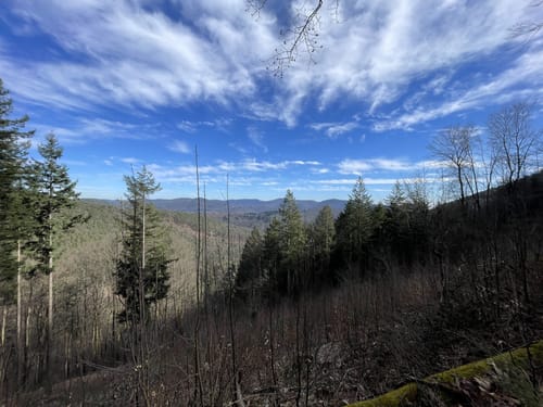 Gräfenhausen und Jungpfalzhütte