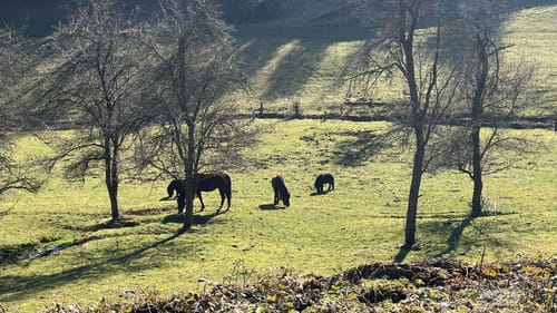 Geschichtspfad Streichen