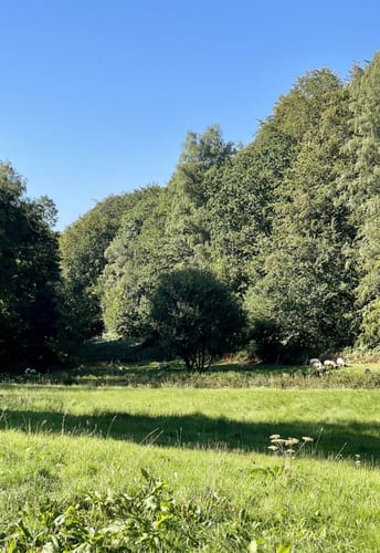 Radtour: Westerwaldrunde von Betzdorf