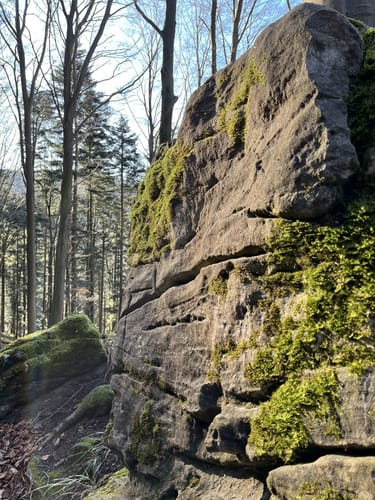 Premiumspazierwanderweg: Felsenmeer