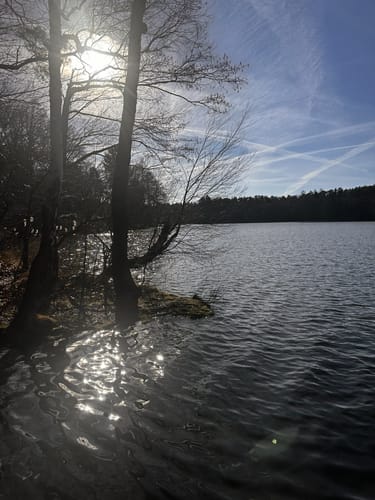 Großer Zeschsee Rundwanderung
