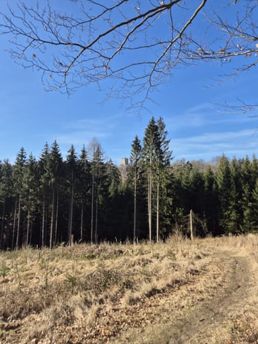 Thomaskreuz Hütte ab Weberhaus
