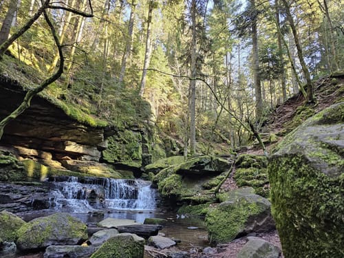Durch das Wildromantische Monbachtal