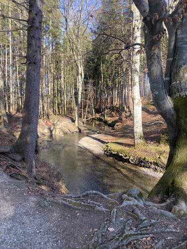 Maisinger See Rundweg