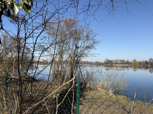 Rund um Altlußheim