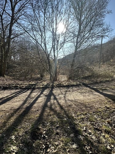 Gemünd - Wolfgarten Rundwanderung