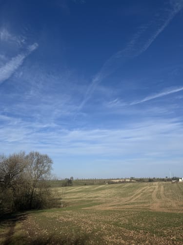 Eine Spur Abwechslungsreicher (Zemmer Nr. 14)