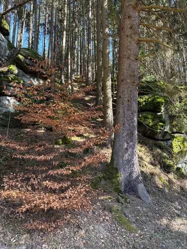 Königsmühle durch das Egertal bei Neuhaus