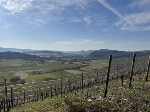 Von Lieser rund um den Wiesgraben