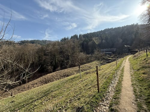 Lourdesgrotte - Mooswald -Sägemännle