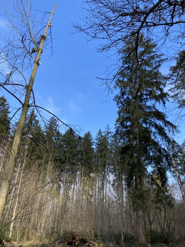 Neu-Ulm - Rote Wand - Unterweiler