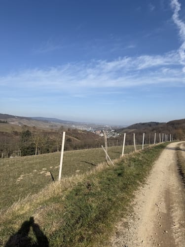 Von Weiler zum Rhein-Nahe-Blick
