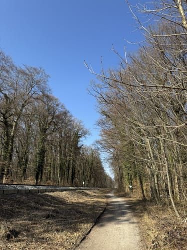 Von Utting nach Dießen